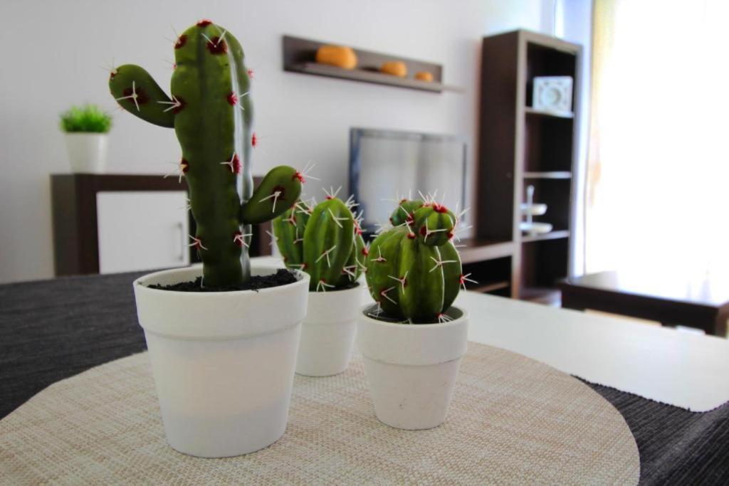 Expoholidays-Eucalipto 1º1 Appartement Aguadulce  Buitenkant foto